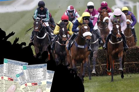 irish racing cards today.